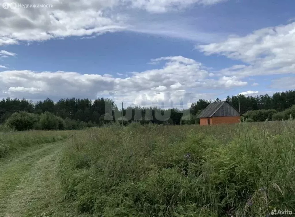 Участок в Вологодская область, Сокольский муниципальный округ, деревня ... - Фото 2