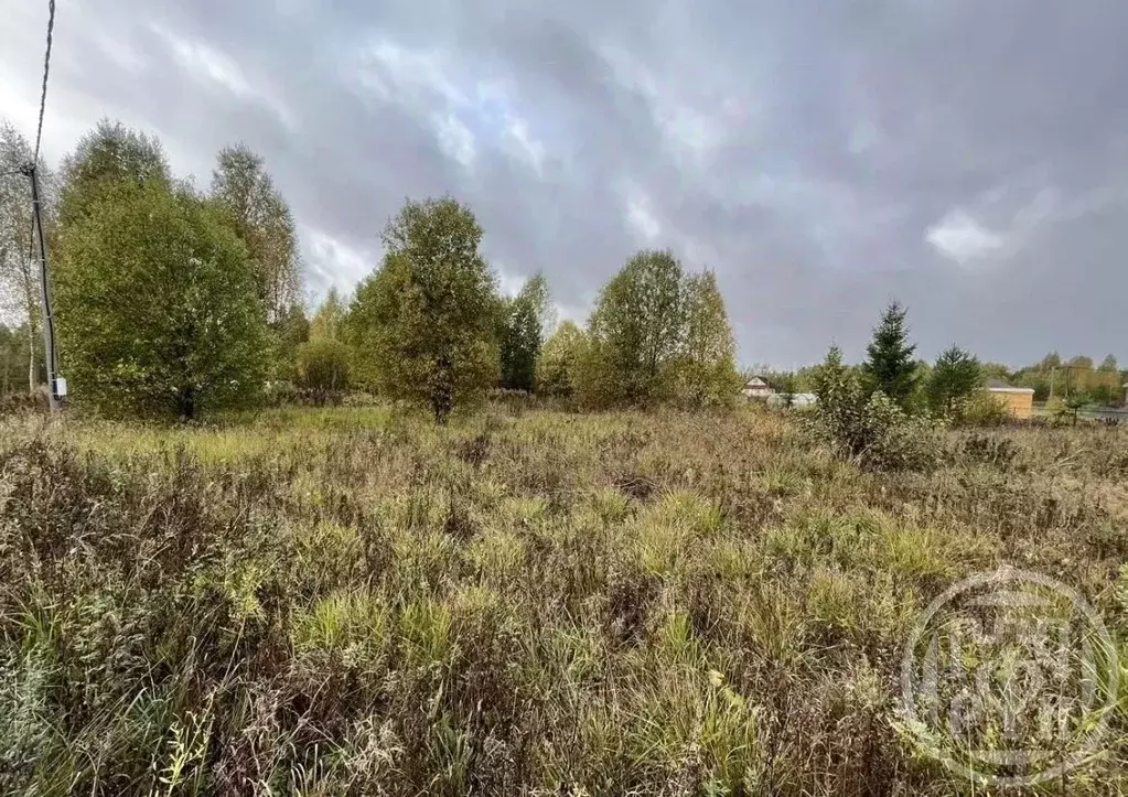 Участок в Ленинградская область, Лужский район, Заклинское с/пос, д. ... - Фото 1