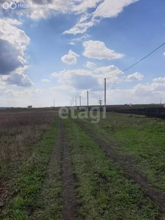 Участок в Лямбирский район, Пензятское сельское поселение, село ... - Фото 0