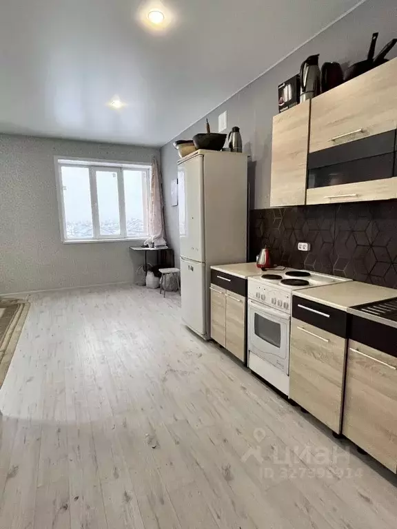 Студия Самарская область, Ставропольский район, с. Подстепки Солнечный ... - Фото 1