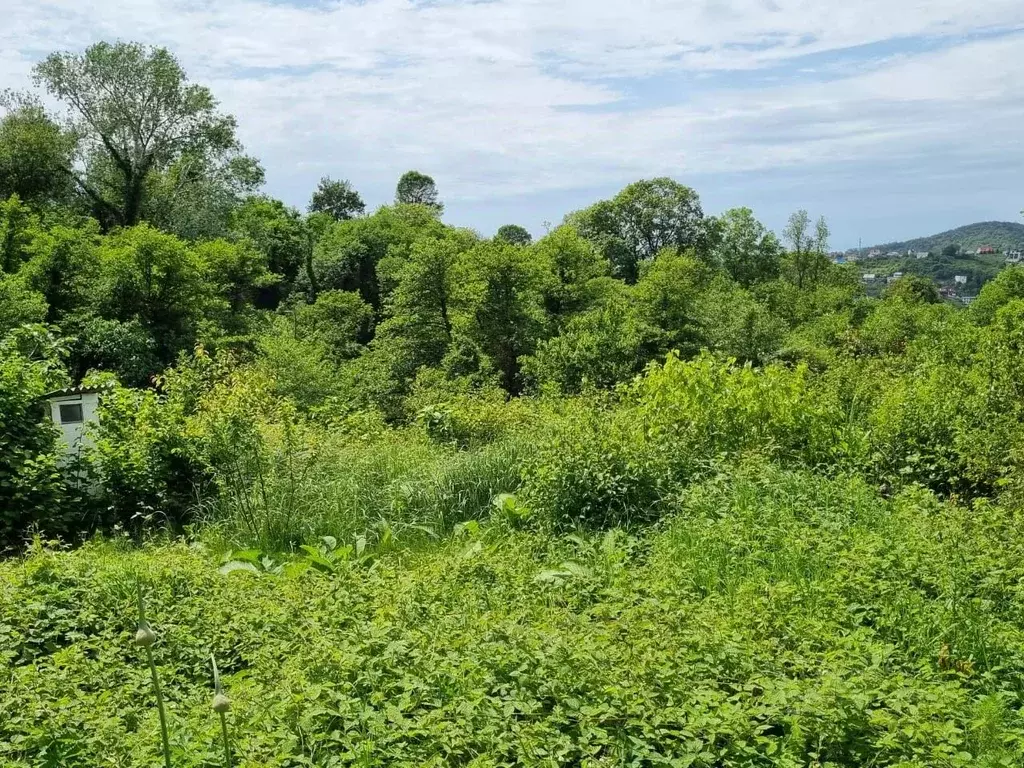 Участок в Краснодарский край, Сочи Королек садовое товарищество,  (5.0 ... - Фото 2