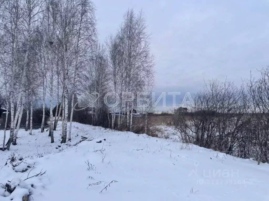 Участок в Тюменская область, Тюмень Салют СНТ, ул. Яблоневая (17.0 ... - Фото 1