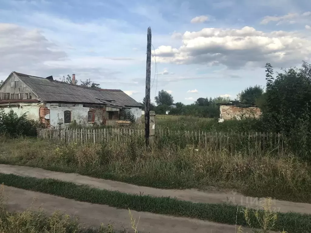 Участок в Воронежская область, Новоусманский район, с. Рыкань Заливная .,  Купить земельный участок Рыкань, Новоусманский район, ID объекта -  20005075896