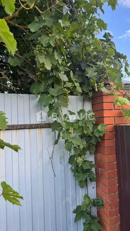 Дом в Московская область, Коломна городской округ, д. Семеновское ул. ... - Фото 2