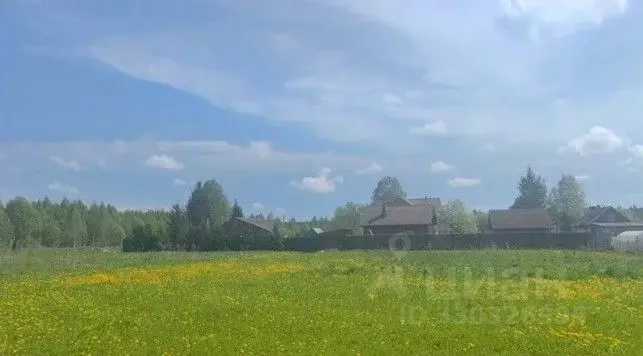 Участок в Московская область, Щелково городской округ, д. Ескино  ... - Фото 1