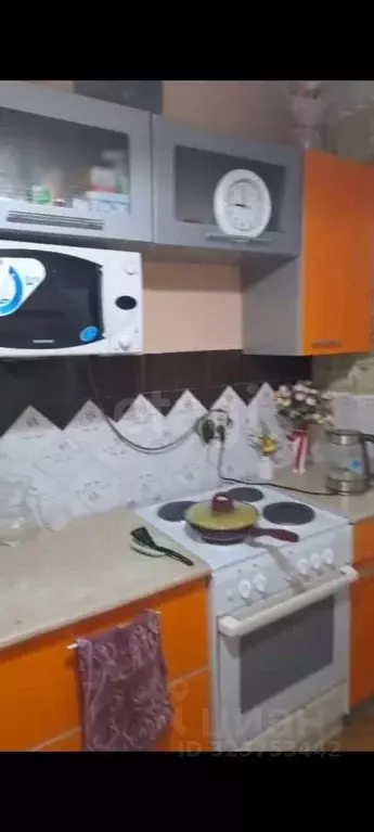 1-к кв. Новосибирская область, Новосибирск Троллейная ул., 22 (30.1 м) - Фото 1