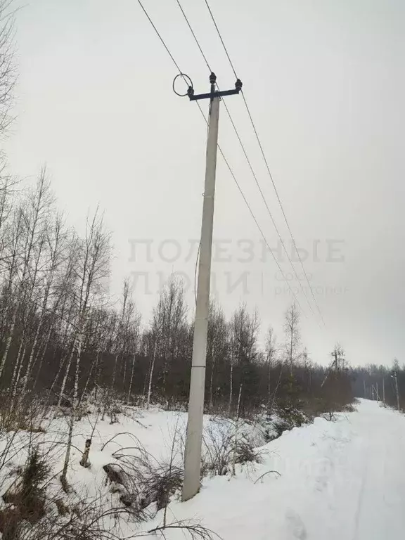 Участок в Новгородская область, Старорусский район, Великосельское ... - Фото 0