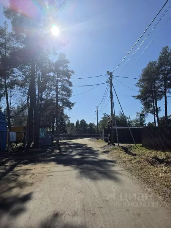 Участок в Ленинградская область, Приозерский район, Сосновское с/пос, ... - Фото 1