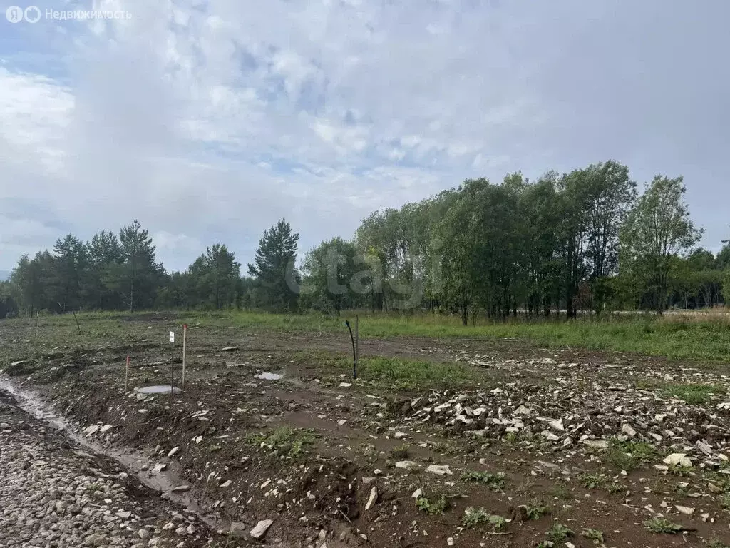 Участок в Пермский край, Добрянский муниципальный округ, деревня ... - Фото 2