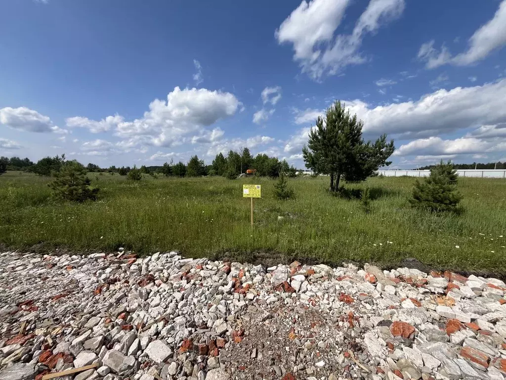 Участок в Московская область, Богородский городской округ, Следово кп ... - Фото 2