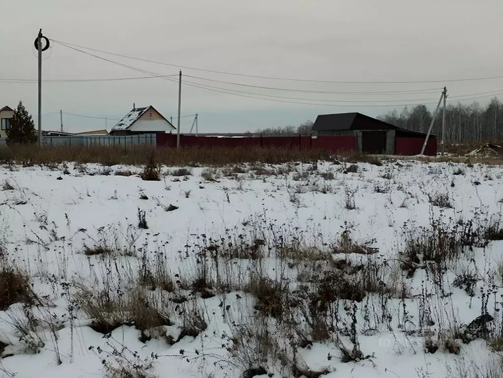 Участок в Челябинская область, Красноармейский район, с. Миасское ул. ... - Фото 0