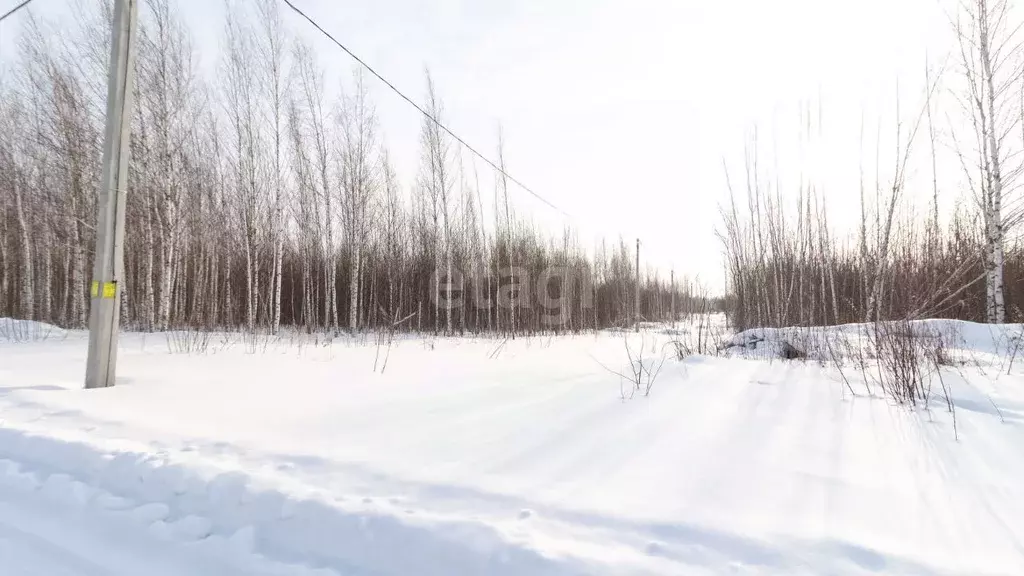 Участок в Томская область, Томск пер. Заботы (10.7 сот.) - Фото 1