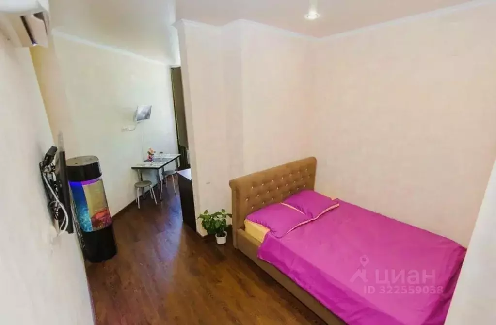 Студия Краснодарский край, Геленджик Крымская ул., 22к2 (31.0 м) - Фото 1