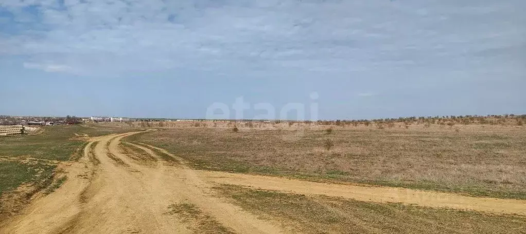 Участок в Крым, Бахчисарайский район, с. Вилино  (169.0 сот.) - Фото 1