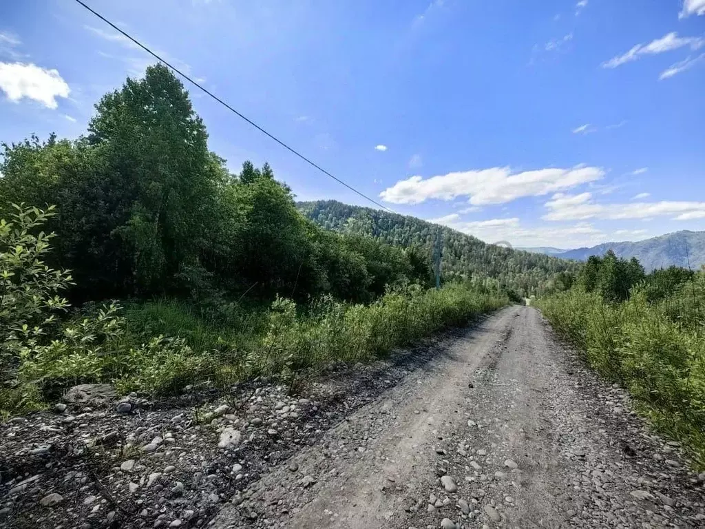 Участок в Алтай, Майминский район, с. Озерное ул. Центральная (10.0 ... - Фото 0