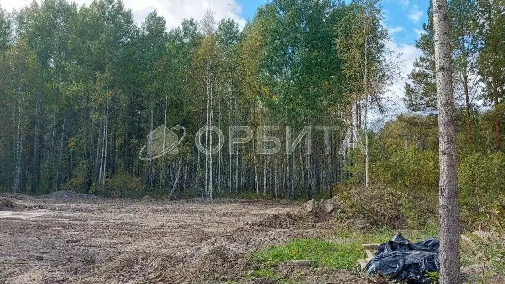 Участок в Тюменская область, Нижнетавдинский район, пос. Кунчур  ... - Фото 2