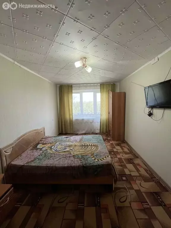 1-комнатная квартира: Ясный, Парковая улица, 18 (30.2 м) - Фото 1