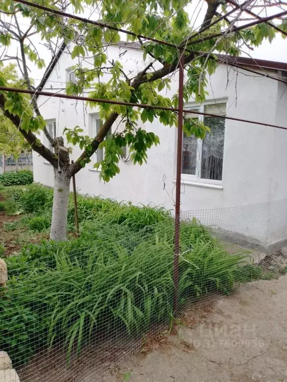 Дом в Крым, Сакский район, Веселовское с/пос, с. Наташино  (80 м) - Фото 0