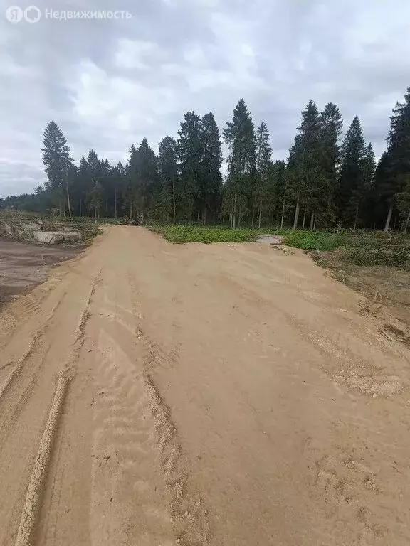 Участок в Ленинградская область, Гатчинский муниципальный округ, ... - Фото 0