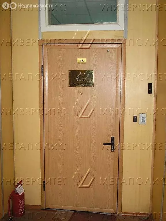 Помещение свободного назначения (50 м) - Фото 1