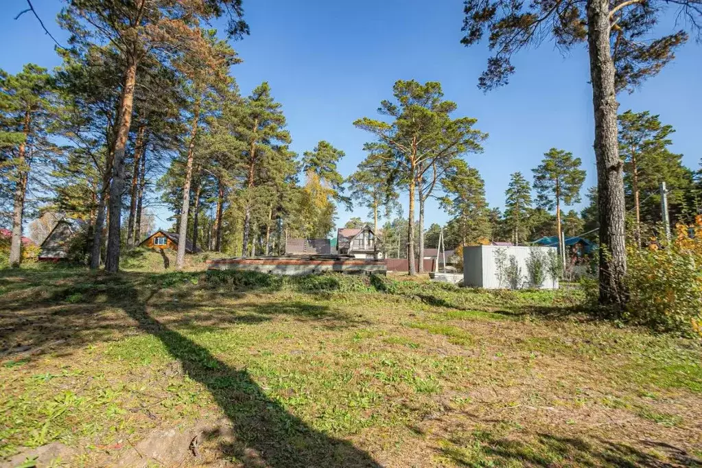 Участок в Новосибирская область, Искитимский район, с. Тальменка ул. ... - Фото 1