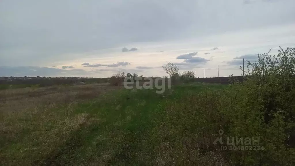 Участок в Белгородская область, Корочанский район, Шляховское с/пос, ... - Фото 0