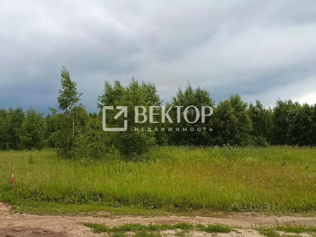 Участок в Ивановская область, Кинешемский район, Наволокское городское ... - Фото 1