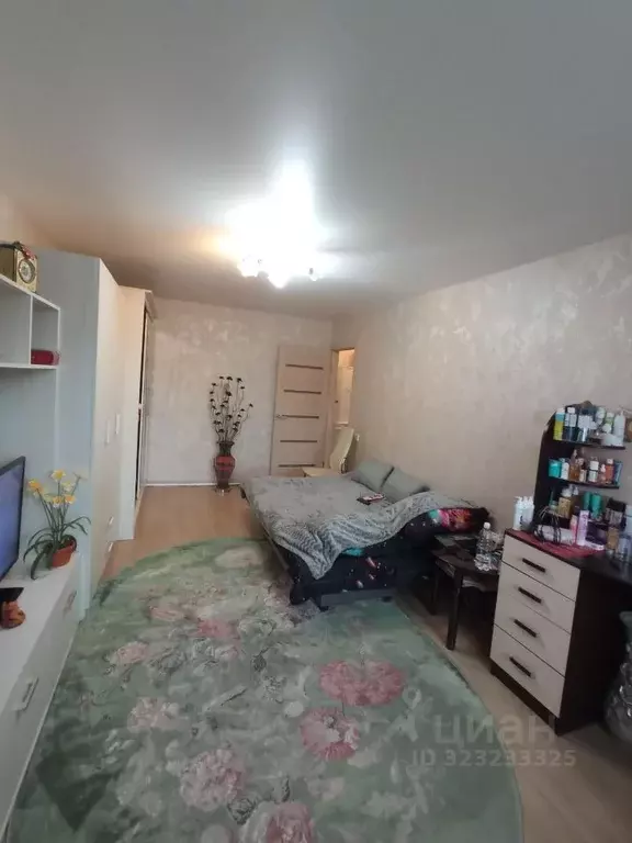 1-к кв. Нижегородская область, Богородск ул. Туркова, 10 (33.3 м) - Фото 2