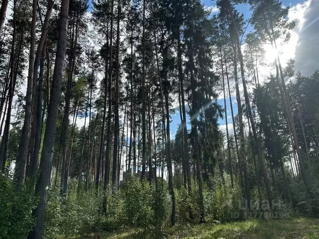 Участок в Московская область, Химки Новогорск-7 кп,  (17.5 сот.) - Фото 2