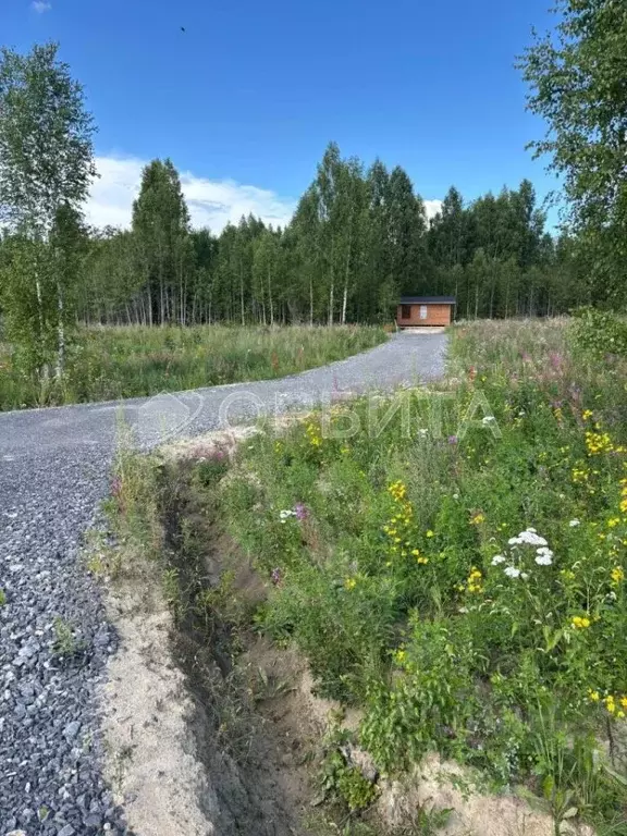 Участок в Тюменская область, Нижнетавдинский район, д. Штакульская  ... - Фото 0