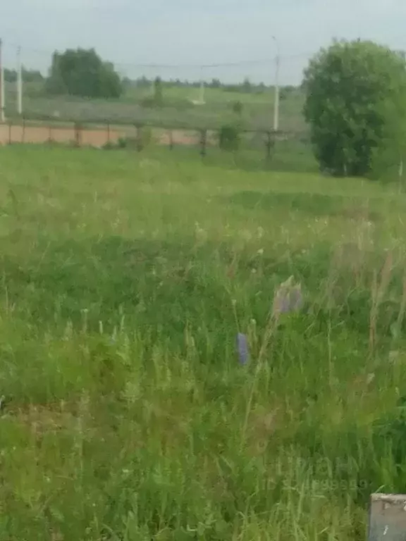 Участок в Владимирская область, Кольчугино Вишневая ул., 11 (11.0 ... - Фото 2