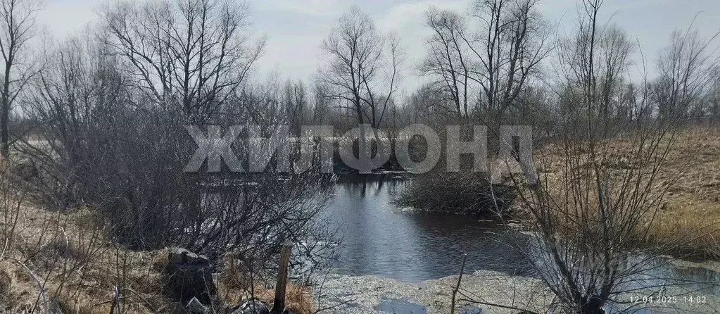 Участок в Новосибирская область, Колыванский район, с. Скала ул. ... - Фото 1