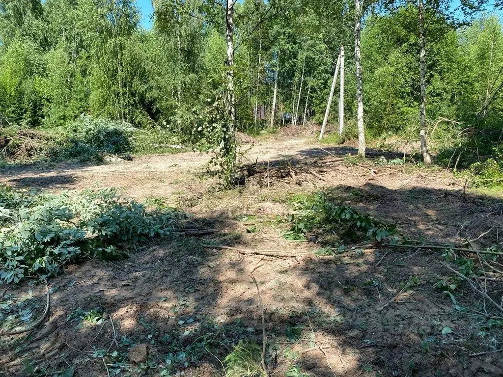 Участок, 12.2 сот., 0 - Фото 1