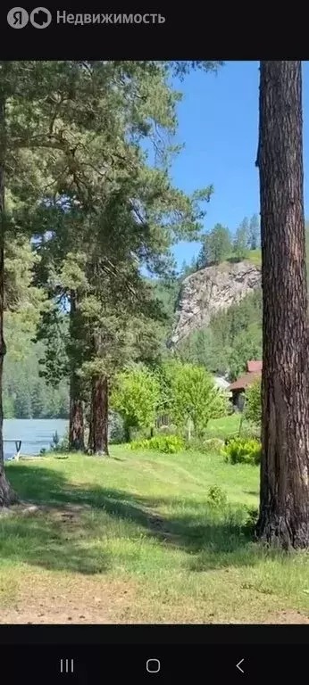 Участок в село Турочак, Набережная улица (12 м) - Фото 1