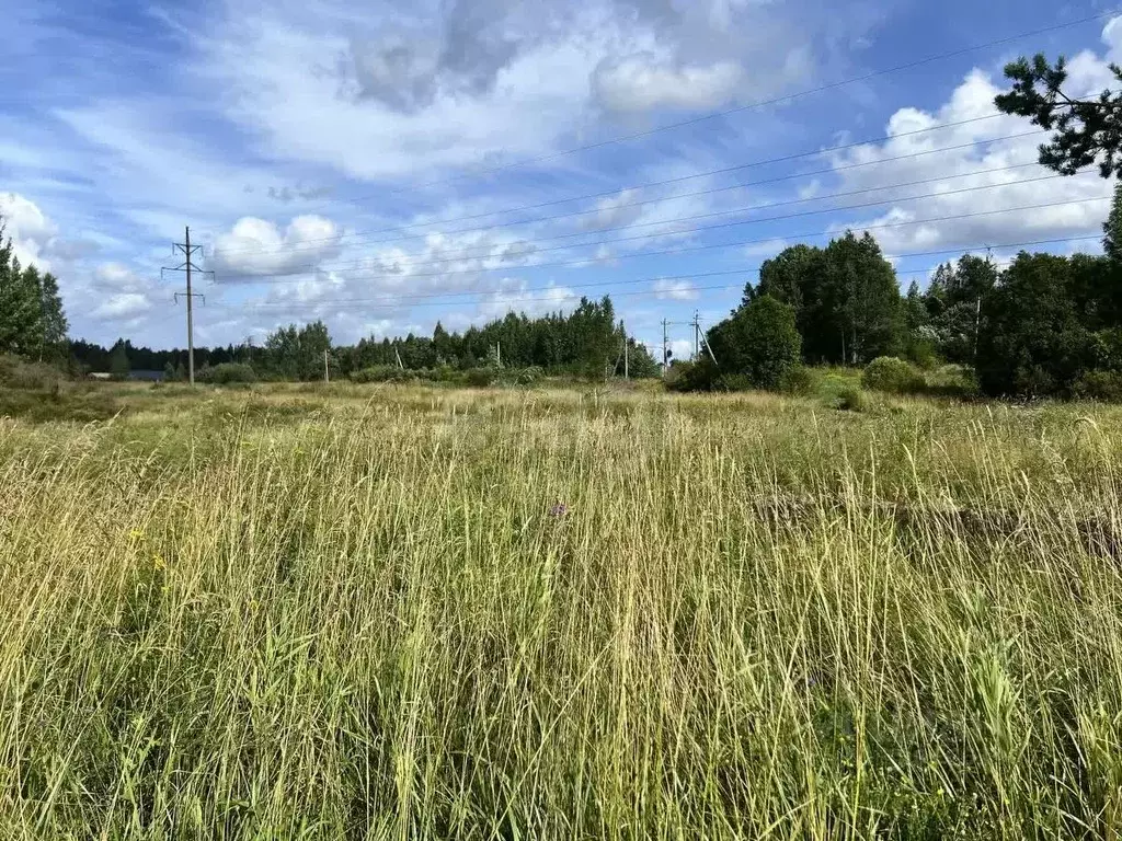 Участок в Ленинградская область, Ломоносовский район, Низинское с/пос, ... - Фото 2