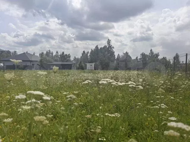 Участок 10 сот. (ИЖС) - Фото 0