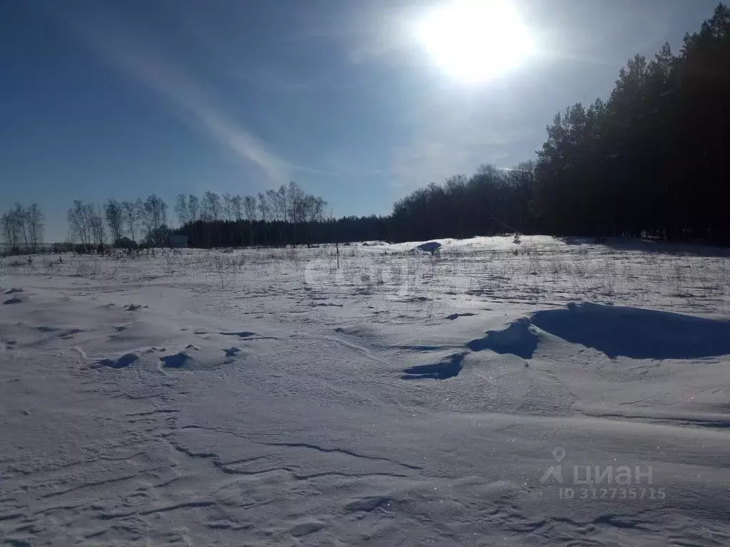 Участок в Ульяновская область, Ульяновск городской округ, с. Луговое ... - Фото 0