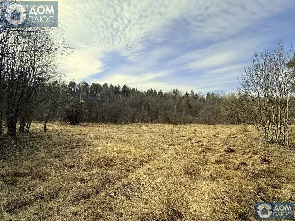 Участок в Республика Карелия, Кондопожский муниципальный район, ... - Фото 1