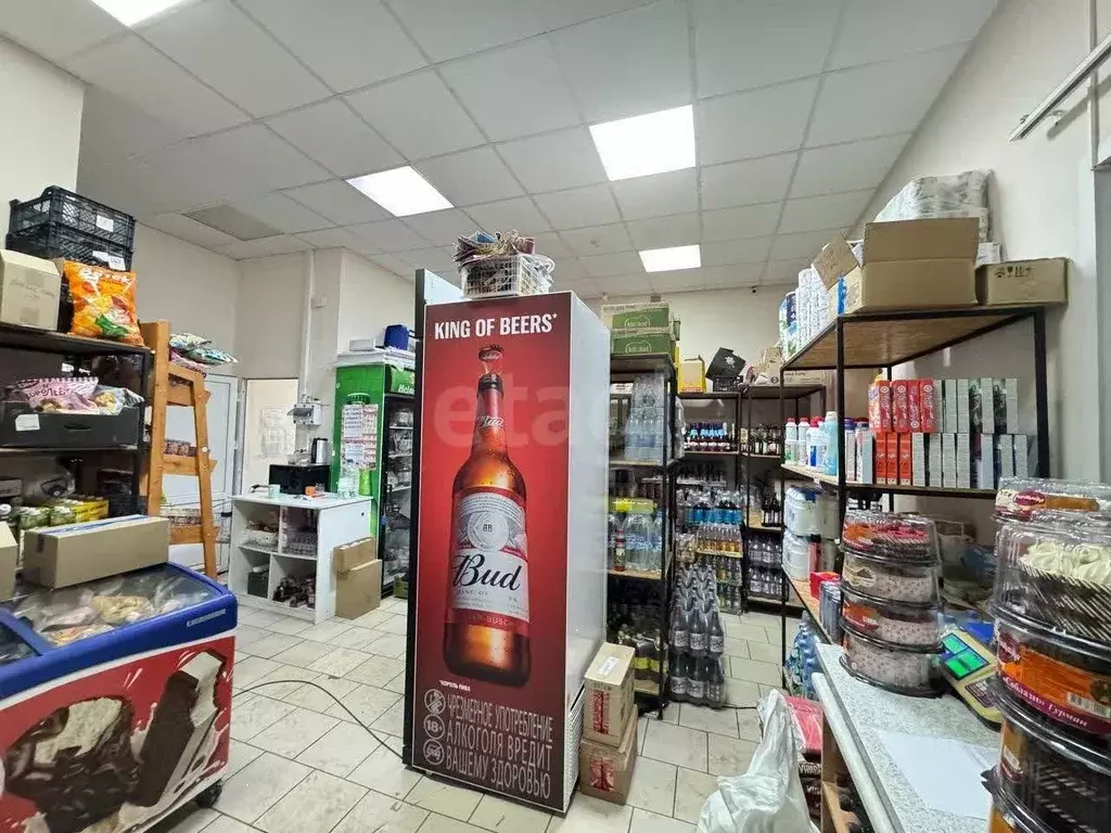 Торговая площадь в Свердловская область, Талица Ромашковая ул., 5 (86 ... - Фото 1