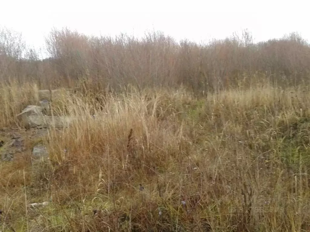 Участок в Псковская область, Псков Почтовая ул. (11.0 сот.) - Фото 1