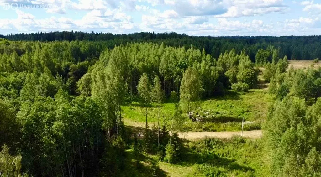Участок в Куйвозовское сельское поселение, КП Карелин парк (8.04 м) - Фото 1