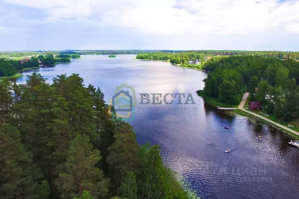 Участок в Ленинградская область, Приозерский район, Раздольевское ... - Фото 1