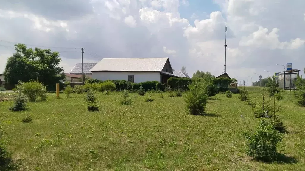 Дом в Алтайский край, Барнаул городской округ, пос. Лесной ул. ... - Фото 1