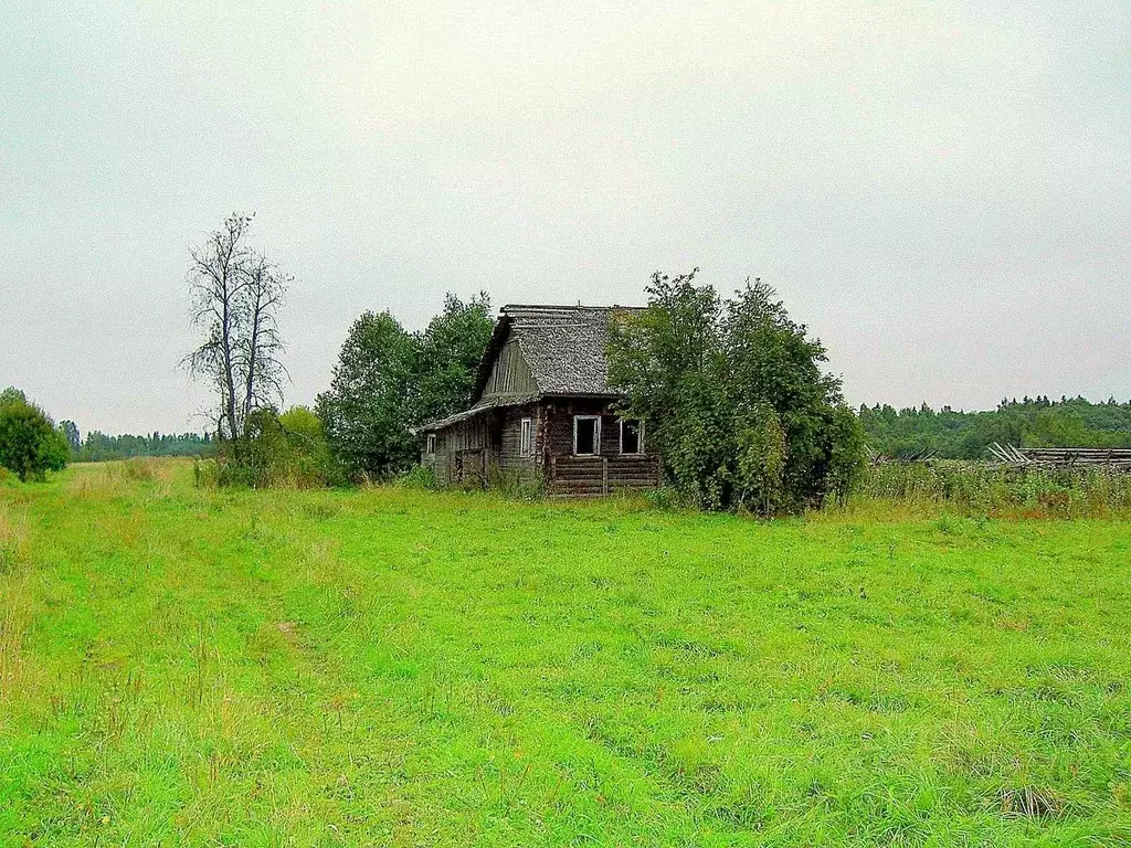 Участок в Ивановская область, Тейковский район, Крапивновское с/пос, ... - Фото 0