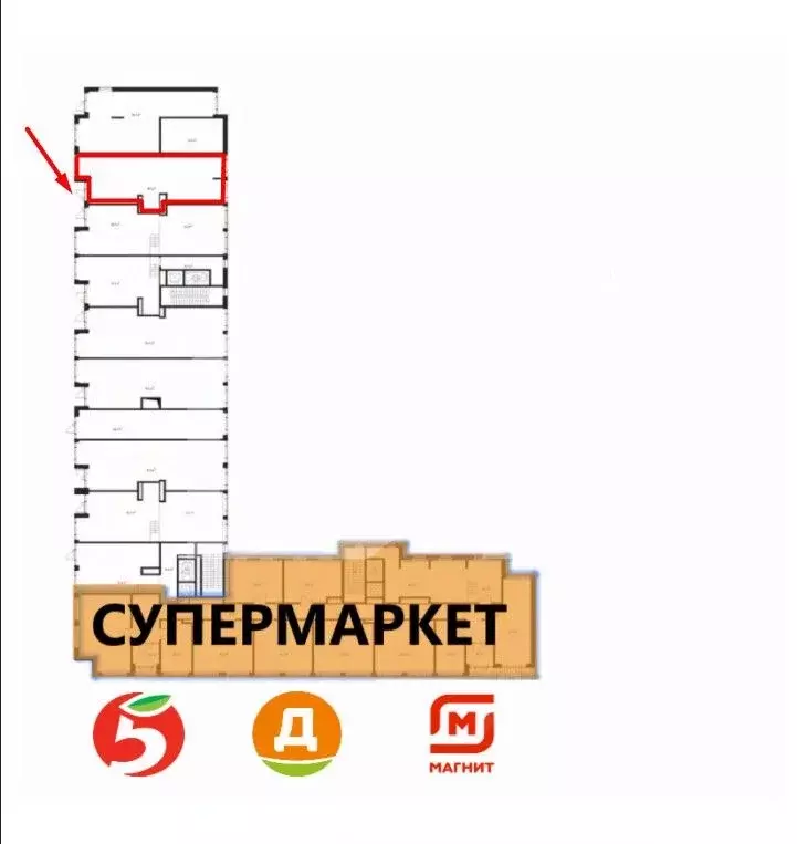 Торговая площадь в Московская область, Химки Клязьма-Старбеево мкр, ... - Фото 2