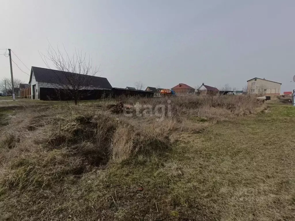 Участок в Белгородская область, Вейделевка рп ул. Зеленая (15.1 сот.) - Фото 1