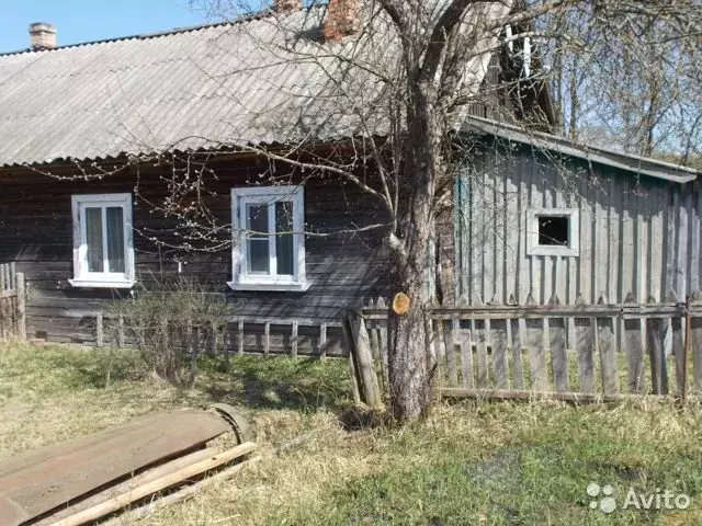 Погода в селеево. Деревня Селеево Новгородской области. Деревня Лобыни Поддорский район. Селеево Новгородская область Поддорский район. Деревня малые Язвищи Поддорский район.