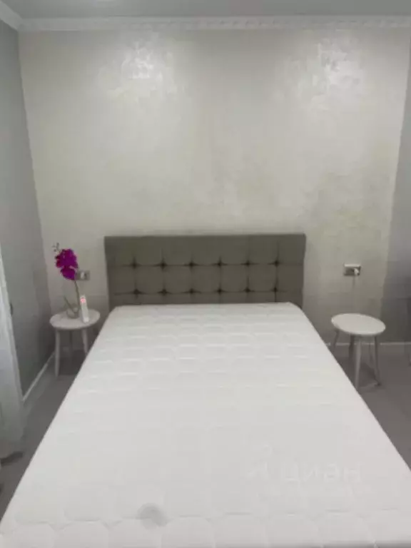 Студия Крым, Ялта ул. Рузвельта, 6 (25.0 м) - Фото 1