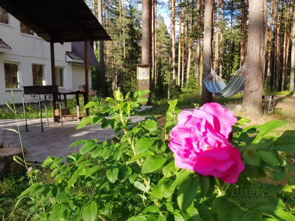 Коттедж в Санкт-Петербург  (160 м) - Фото 1