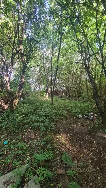 Участок в Москва пос. Речник,  (12.0 сот.) - Фото 1